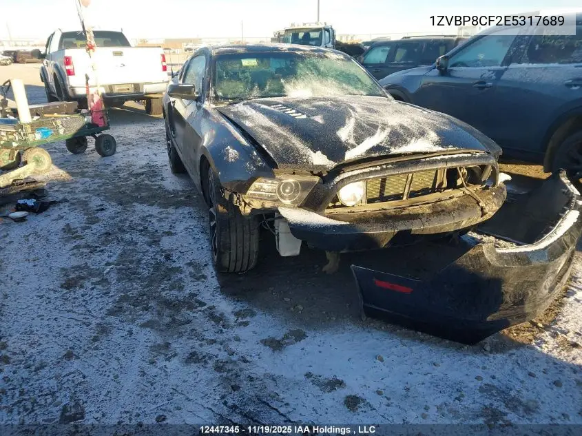 1ZVBP8CF2E5317689 2014 Ford Mustang Gt