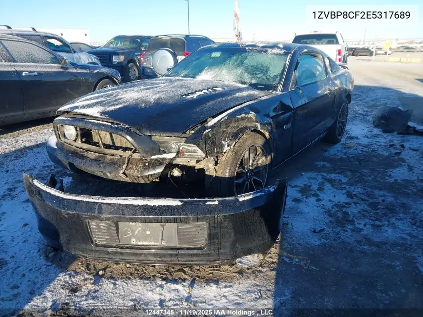 1ZVBP8CF2E5317689 2014 Ford Mustang Gt