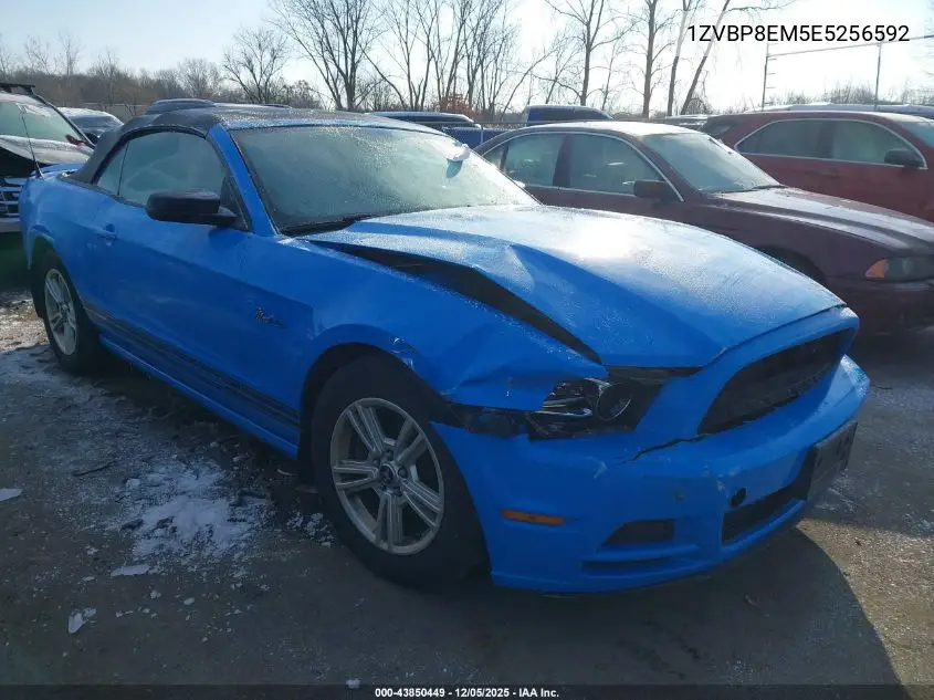 1ZVBP8EM5E5256592 2014 Ford Mustang V6