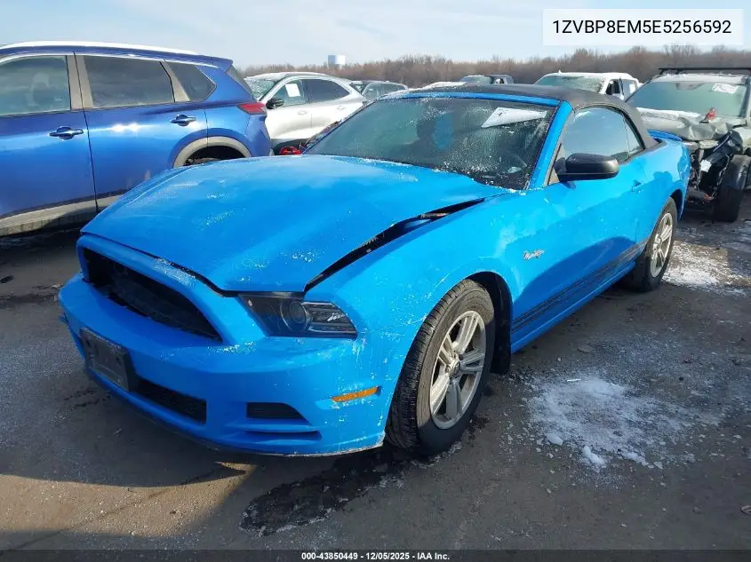 1ZVBP8EM5E5256592 2014 Ford Mustang V6