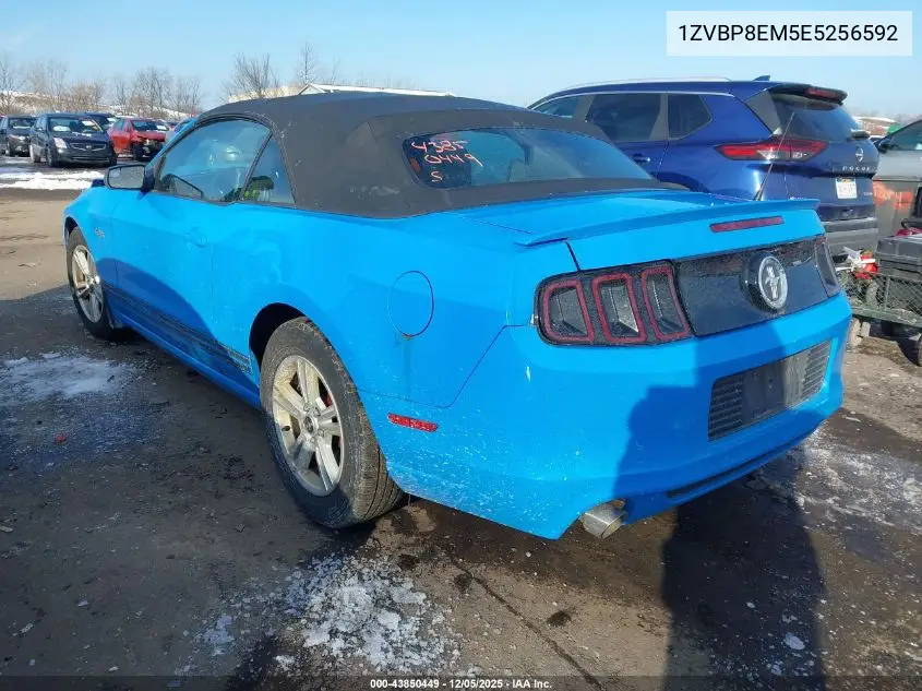 1ZVBP8EM5E5256592 2014 Ford Mustang V6