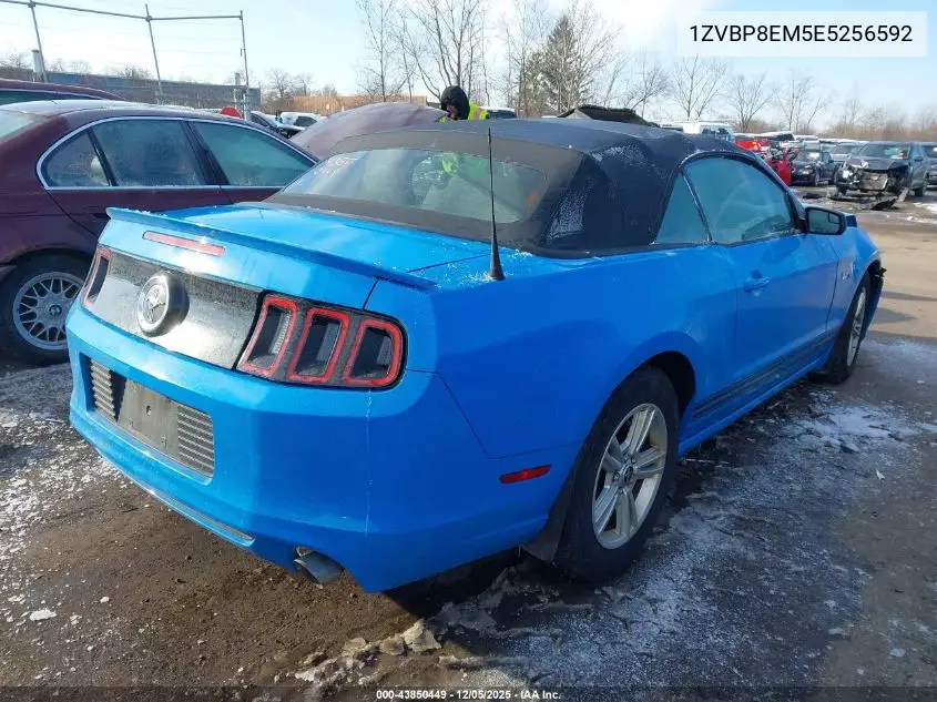 1ZVBP8EM5E5256592 2014 Ford Mustang V6