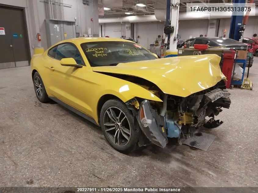 1FA6P8TH3G5313875 2016 Ford Mustang