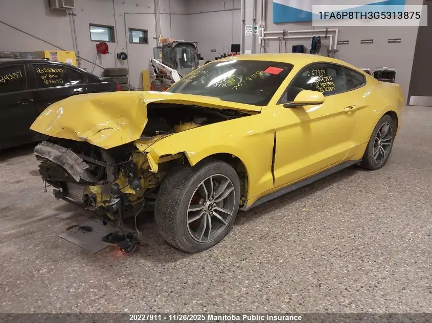 1FA6P8TH3G5313875 2016 Ford Mustang