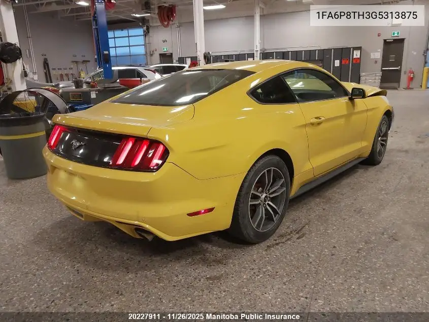 1FA6P8TH3G5313875 2016 Ford Mustang