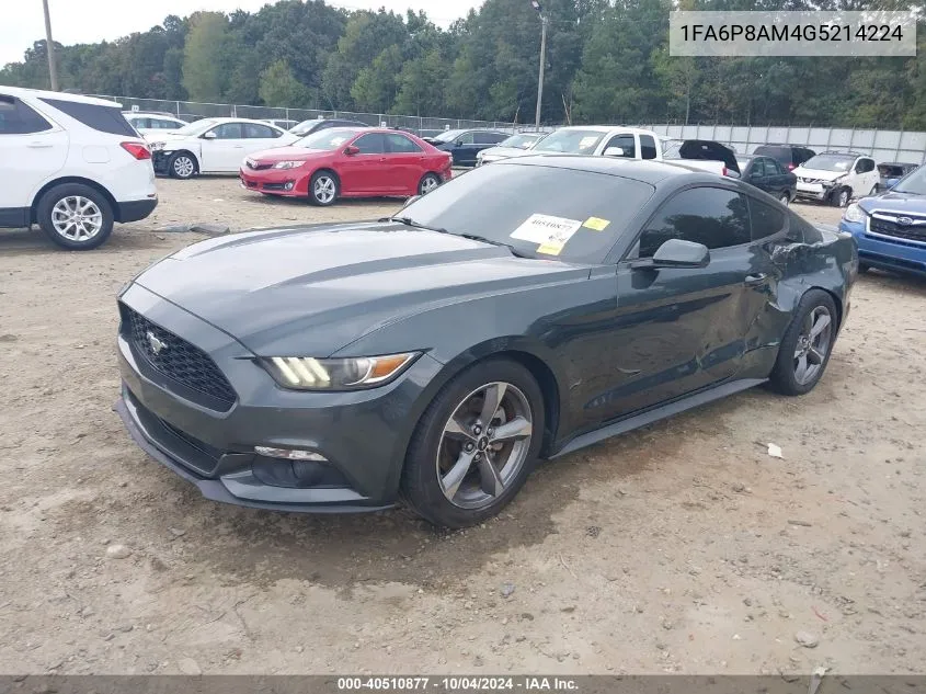 1FA6P8AM4G5214224 2016 Ford Mustang V6