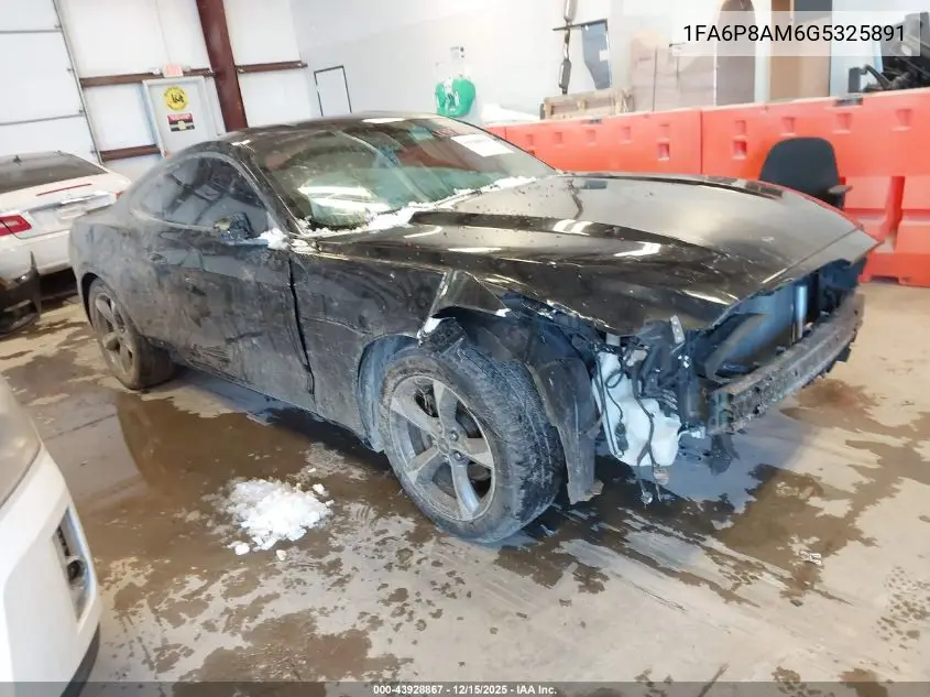 1FA6P8AM6G5325891 2016 Ford Mustang V6