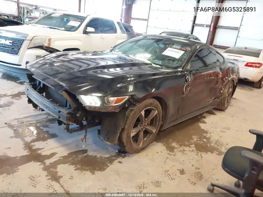 1FA6P8AM6G5325891 2016 Ford Mustang V6