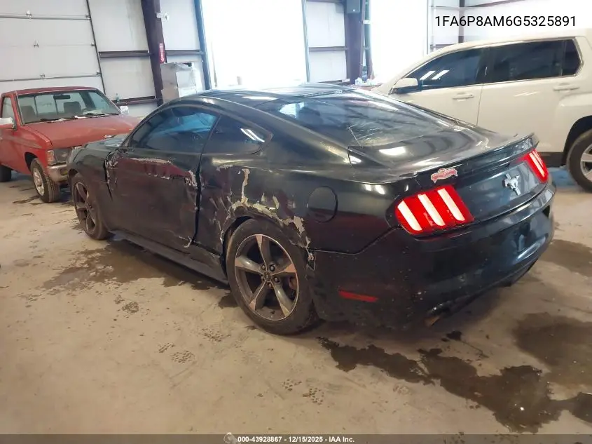 1FA6P8AM6G5325891 2016 Ford Mustang V6