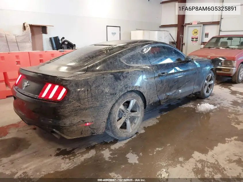 1FA6P8AM6G5325891 2016 Ford Mustang V6