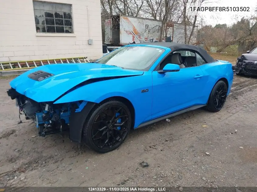 1FAGP8FF8R5103502 2024 Ford Mustang Gt