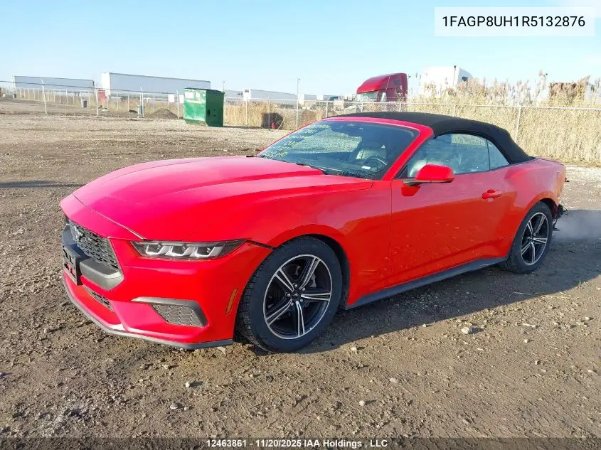 1FAGP8UH1R5132876 2024 Ford Mustang