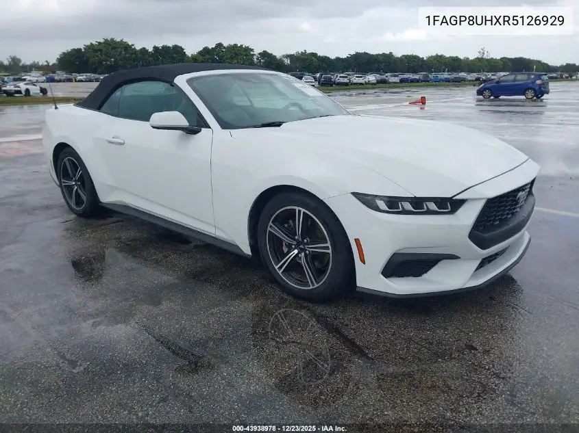1FAGP8UHXR5126929 2024 Ford Mustang Ecoboost Premium