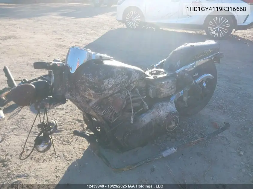 2009 Harley-Davidson Fxdf VIN: 1HD1GY4119K316668 Lot: 12439940