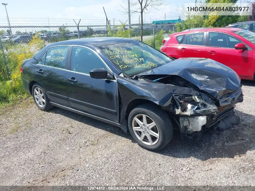 2004 Honda Accord VIN: 1HGCM66484A803977 Lot: 12074412