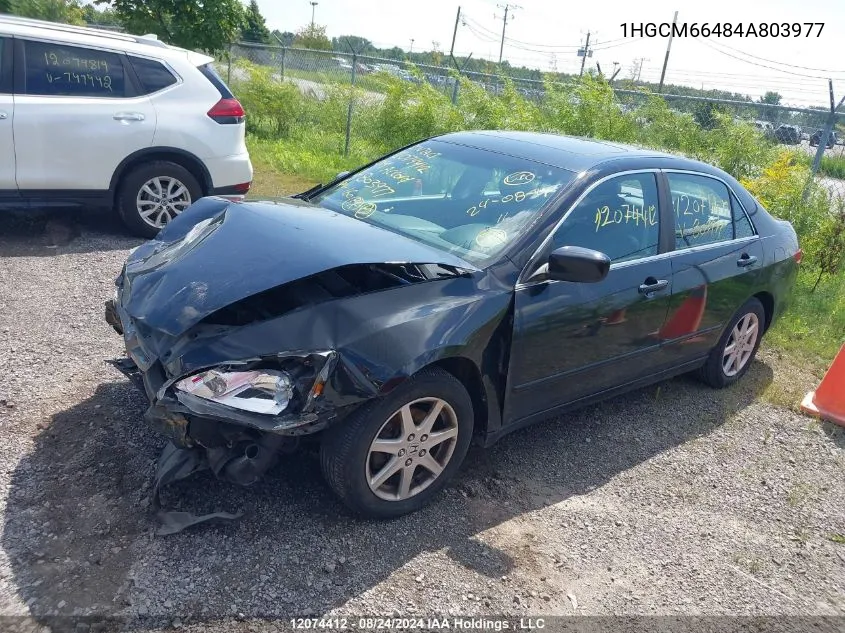 2004 Honda Accord VIN: 1HGCM66484A803977 Lot: 12074412