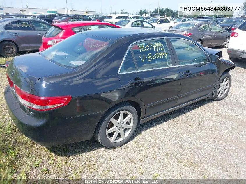 1HGCM66484A803977 2004 Honda Accord