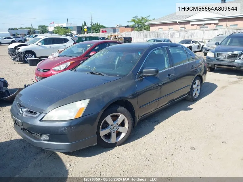 2004 Honda Accord Sdn VIN: 1HGCM56664A809644 Lot: 12076859