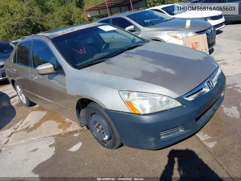1HGCM56816A065603 2006 Honda Accord 2.4 Ex