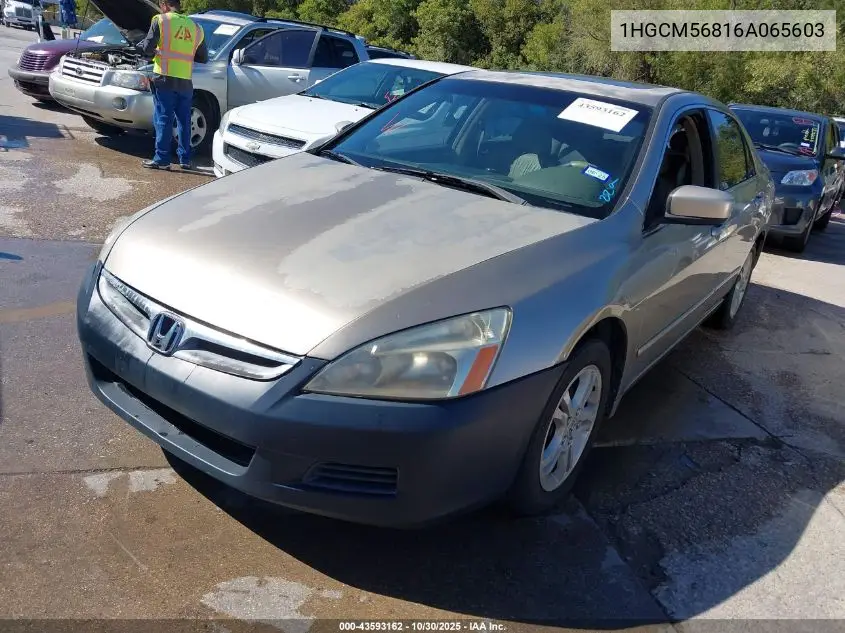 1HGCM56816A065603 2006 Honda Accord 2.4 Ex