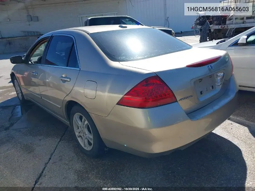 1HGCM56816A065603 2006 Honda Accord 2.4 Ex