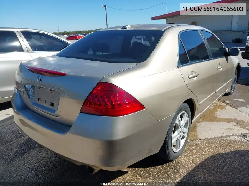 1HGCM56816A065603 2006 Honda Accord 2.4 Ex