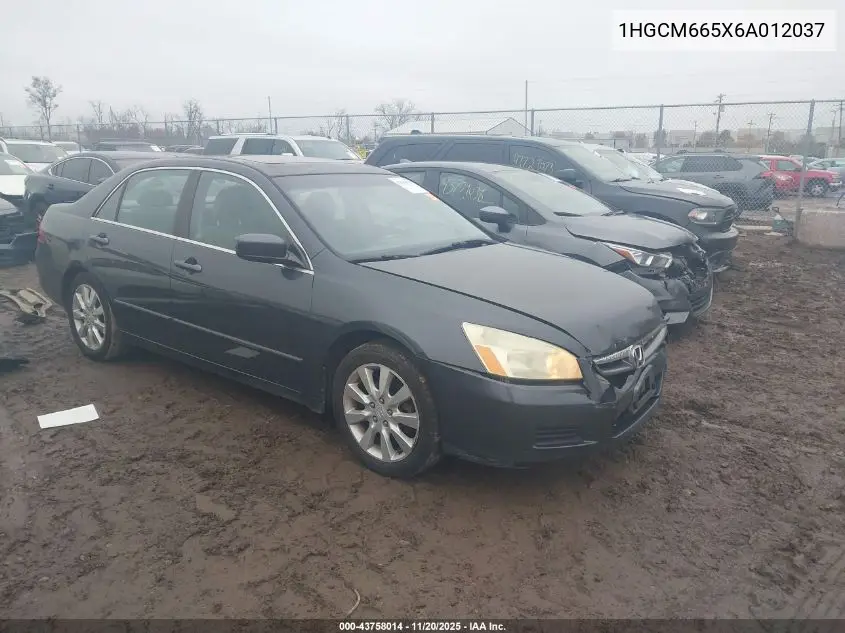 1HGCM665X6A012037 2006 Honda Accord 3.0 Ex