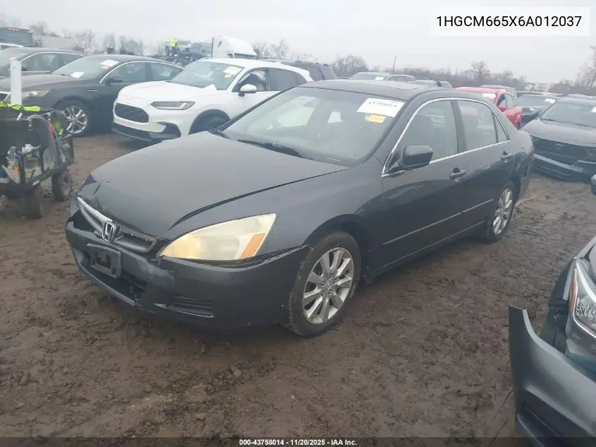 1HGCM665X6A012037 2006 Honda Accord 3.0 Ex