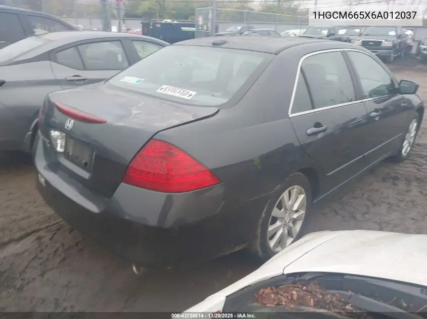 1HGCM665X6A012037 2006 Honda Accord 3.0 Ex
