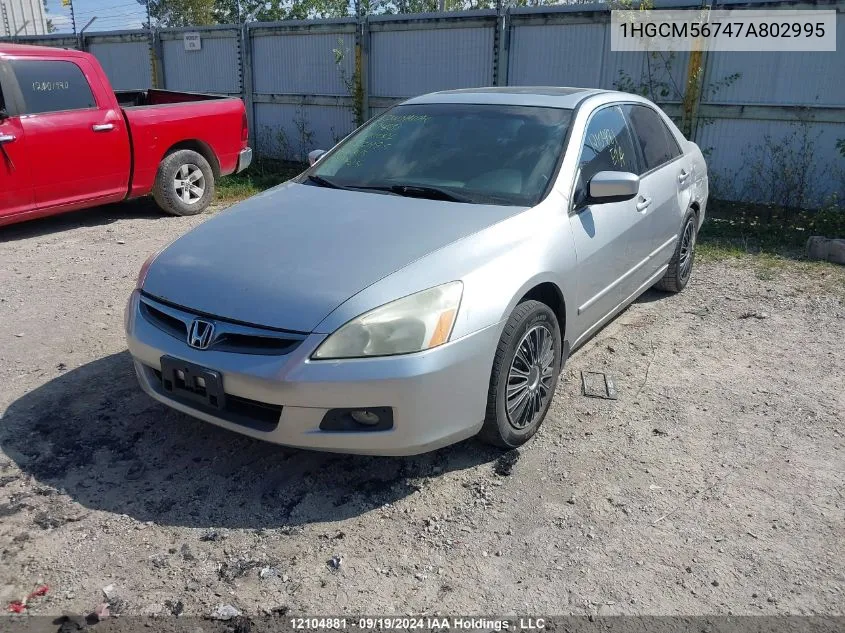 2007 Honda Accord Sdn VIN: 1HGCM56747A802995 Lot: 12104881