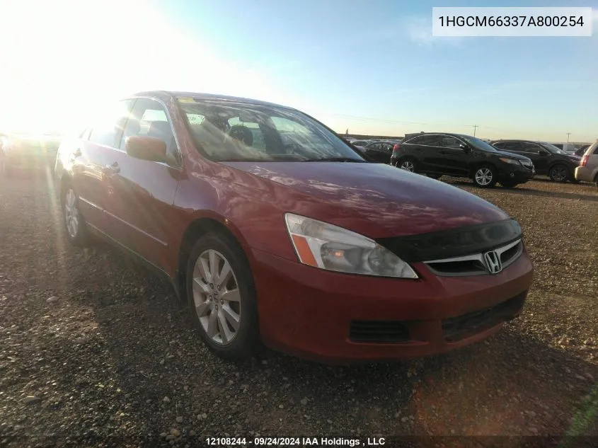 2007 Honda Accord Sdn VIN: 1HGCM66337A800254 Lot: 12108244