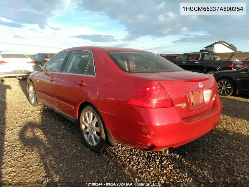 2007 Honda Accord Sdn VIN: 1HGCM66337A800254 Lot: 12108244