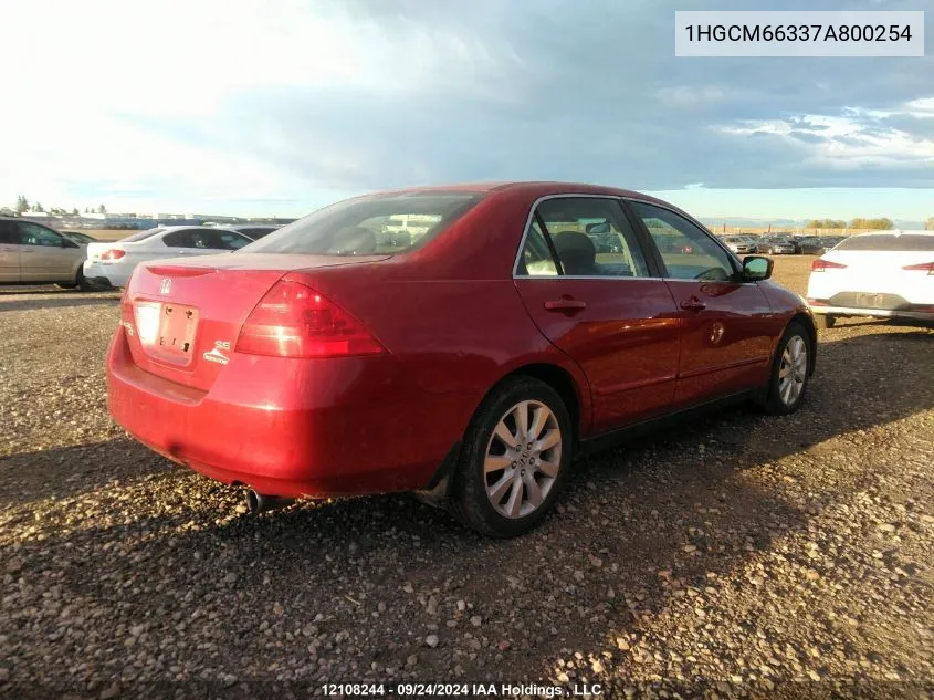 2007 Honda Accord Sdn VIN: 1HGCM66337A800254 Lot: 12108244