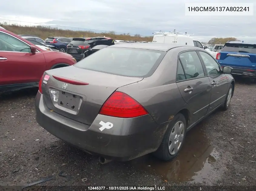 1HGCM56137A802241 2007 Honda Accord Dx-G