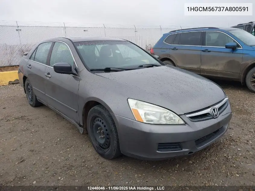 1HGCM56737A800591 2007 Honda Accord Ex-L/Se