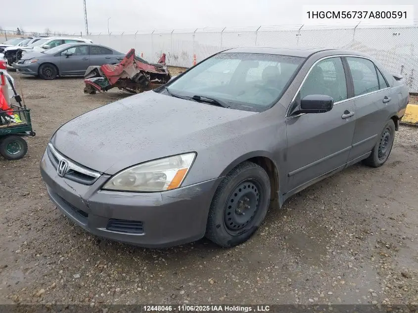 1HGCM56737A800591 2007 Honda Accord Ex-L/Se