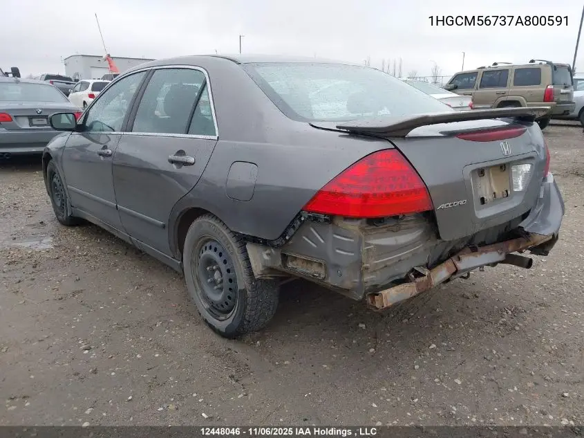 1HGCM56737A800591 2007 Honda Accord Ex-L/Se