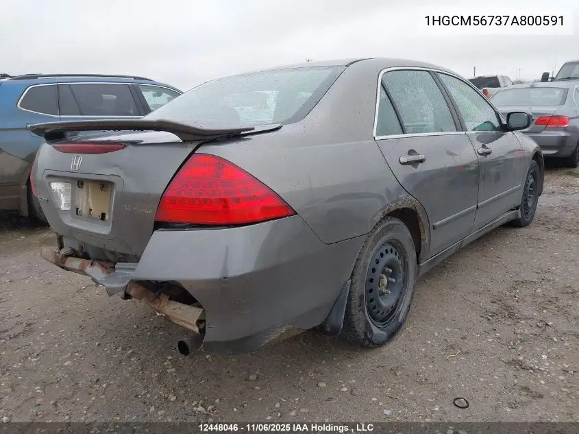 1HGCM56737A800591 2007 Honda Accord Ex-L/Se