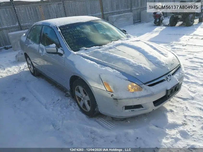 1HGCM56137A804975 2007 Honda Accord Dx-G