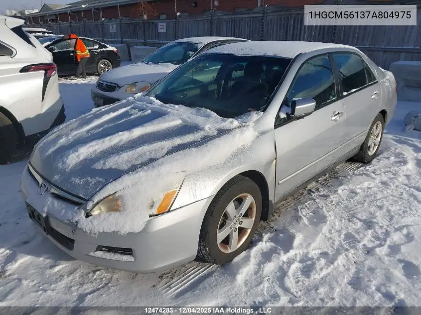 1HGCM56137A804975 2007 Honda Accord Dx-G