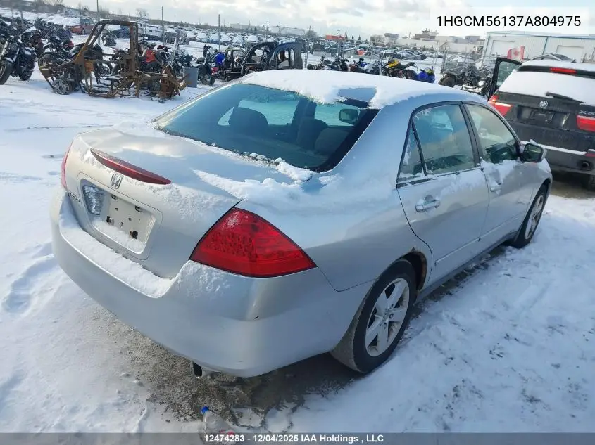 1HGCM56137A804975 2007 Honda Accord Dx-G