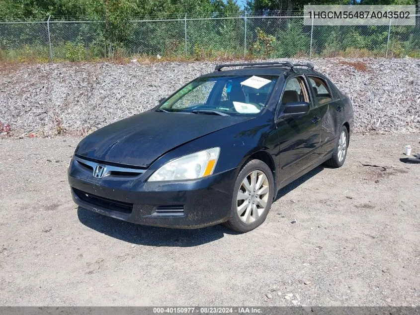 2007 Honda Accord 2.4 Lx VIN: 1HGCM56487A043502 Lot: 40150977