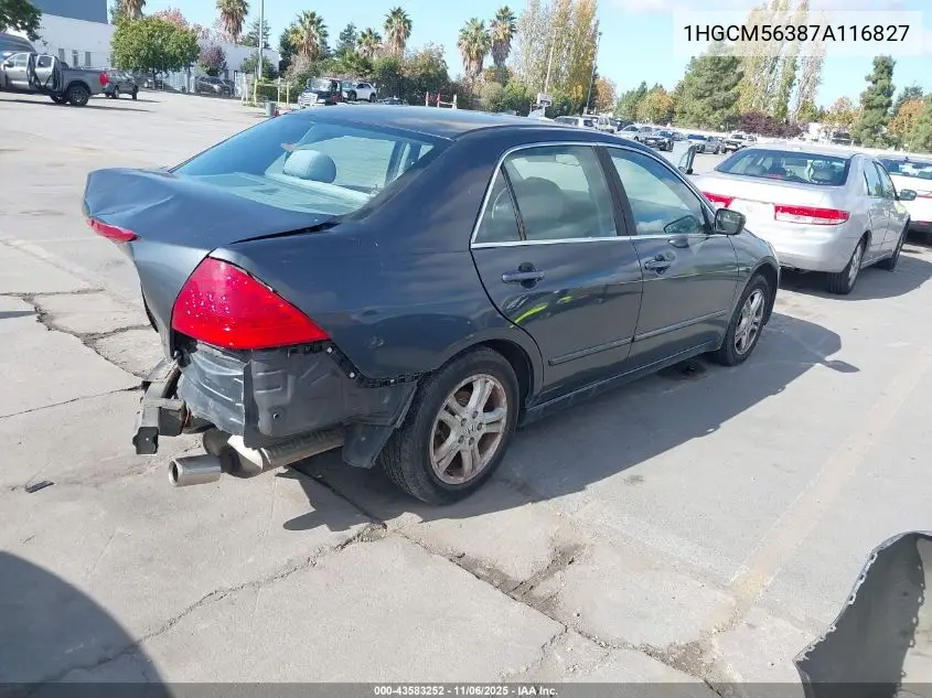 1HGCM56387A116827 2007 Honda Accord 2.4 Se
