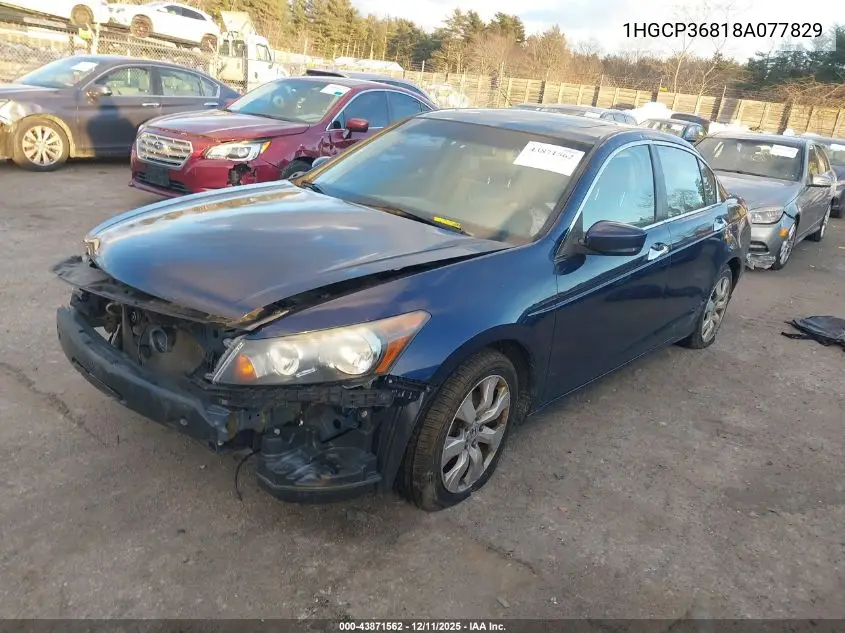 1HGCP36818A077829 2008 Honda Accord 3.5 Ex-L