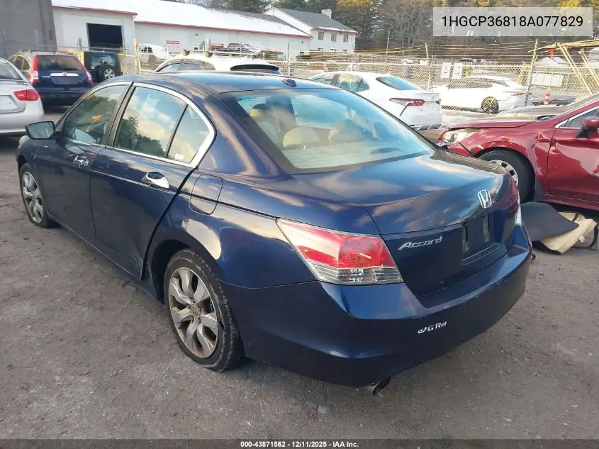 1HGCP36818A077829 2008 Honda Accord 3.5 Ex-L