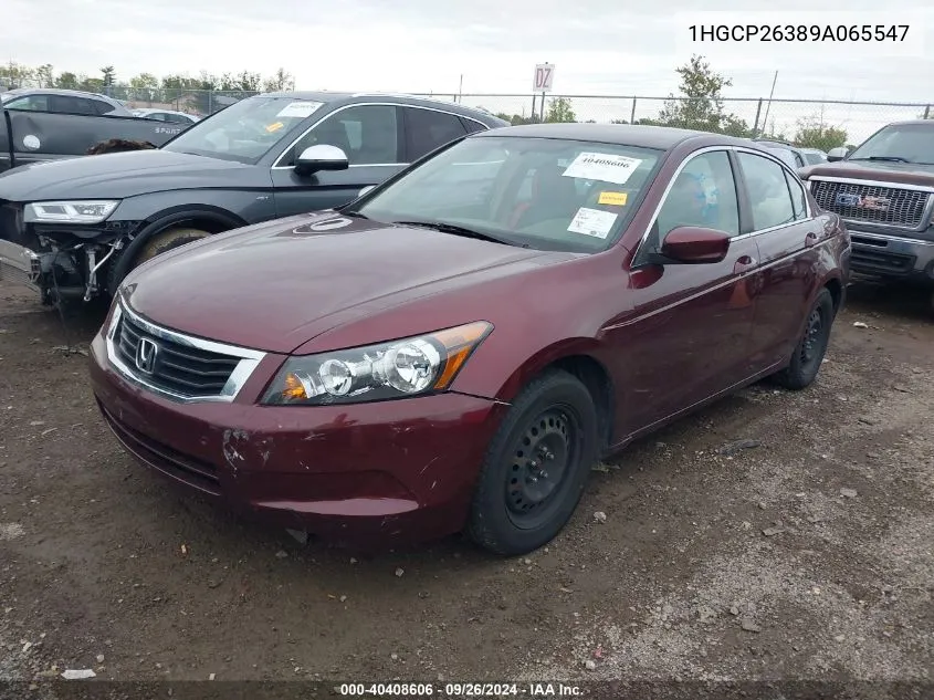 2009 Honda Accord 2.4 Lx VIN: 1HGCP26389A065547 Lot: 40408606