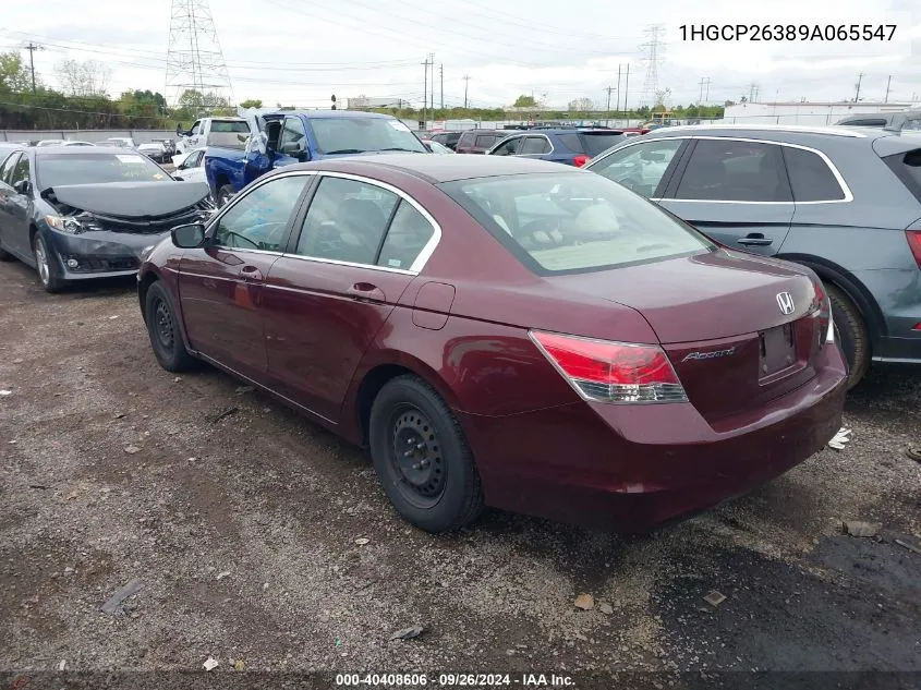 2009 Honda Accord 2.4 Lx VIN: 1HGCP26389A065547 Lot: 40408606