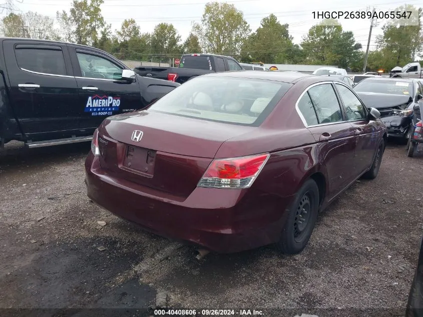 2009 Honda Accord 2.4 Lx VIN: 1HGCP26389A065547 Lot: 40408606