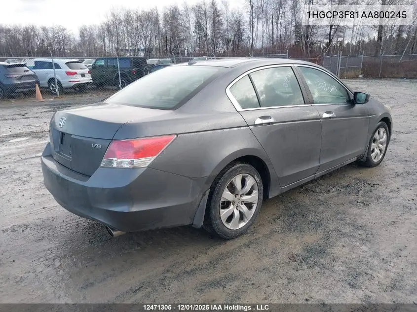 1HGCP3F81AA800245 2010 Honda Accord Ex-L V6