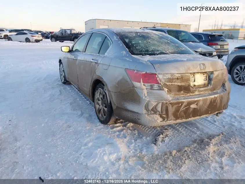 1HGCP2F8XAA800237 2010 Honda Accord Sedan
